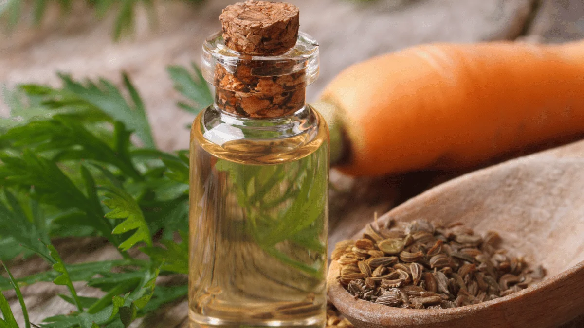 Citronella Essential Oil